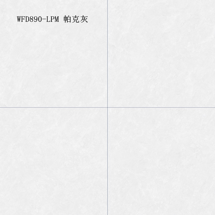 WFD890-LPM 帕克灰