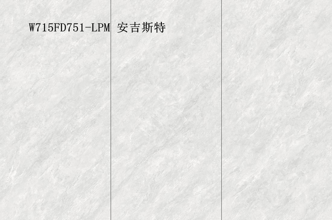 W715FD751-LPM 安吉斯特