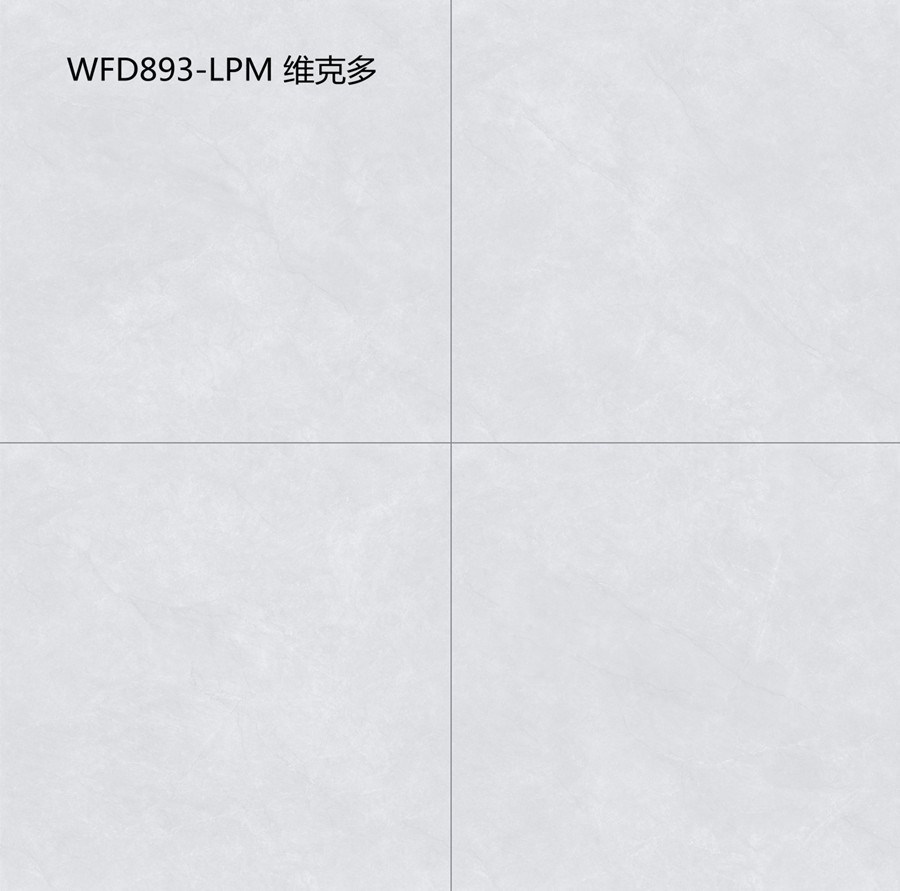WFD893-LPM 维克多
