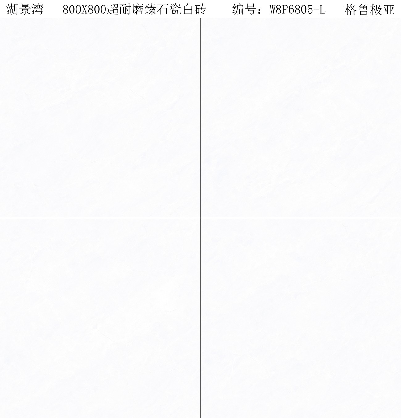 W8P6805-L 格鲁极亚